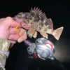 Thumbnail of post image 013
