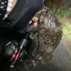 Thumbnail of post image 162