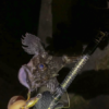 Thumbnail of post image 009