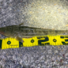 Thumbnail of post image 106