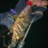 Thumbnail of post image 121