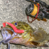 Thumbnail of post image 085