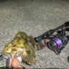 Thumbnail of post image 155
