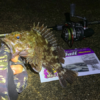 Thumbnail of post image 131