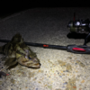 Thumbnail of post image 048