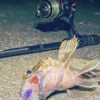Thumbnail of post image 067