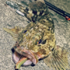 Thumbnail of post image 054