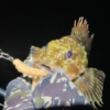 Thumbnail of post image 009