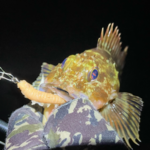 Thumbnail of related posts 054