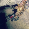 Thumbnail of post image 115