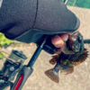 Thumbnail of post image 154