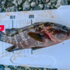 Thumbnail of post image 029