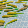 Thumbnail of post image 102