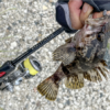 Thumbnail of post image 067