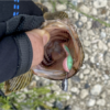 Thumbnail of post image 056