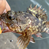 Thumbnail of post image 071