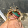 Thumbnail of post image 147