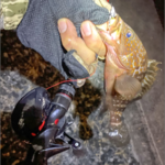Thumbnail of related posts 107