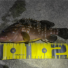 Thumbnail of post image 164