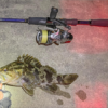 Thumbnail of post image 154