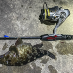 Thumbnail of related posts 095