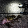 Thumbnail of post image 063