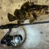 Thumbnail of post image 050