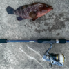 Thumbnail of post image 178