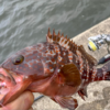 Thumbnail of post image 146