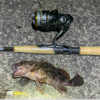 Thumbnail of post image 089