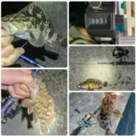 Thumbnail of related posts 007