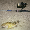 Thumbnail of post image 173