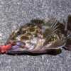 Thumbnail of post image 135