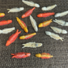Thumbnail of post image 007