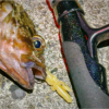 Thumbnail of post image 130