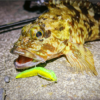 Thumbnail of post image 060
