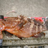 Thumbnail of post image 069