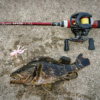 Thumbnail of post image 076