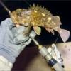 Thumbnail of post image 074