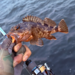 Thumbnail of new posts 126